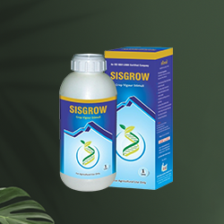 harmonal activitor & growth pramoter