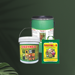 plant derivative from natural resources