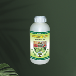 plant derivative from natural resources