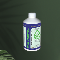 plant derivative from natural resources