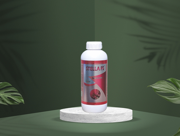 STELLA FS